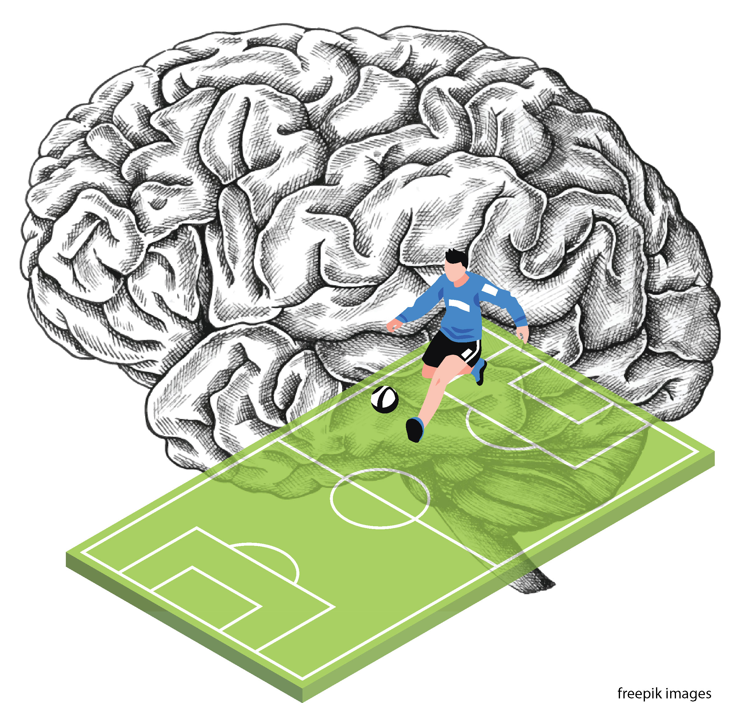 Como o cérebro dos jogadores de futebol é diferente do de outros